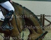 Novella del Castegno TosTour2013- S5 3222 : Arezzo, Arezzo Equestrian Centre, Cavalli d'Italia, Novella del Castegno, Toscana Tour 2013, foto di Stefano Secchi ©